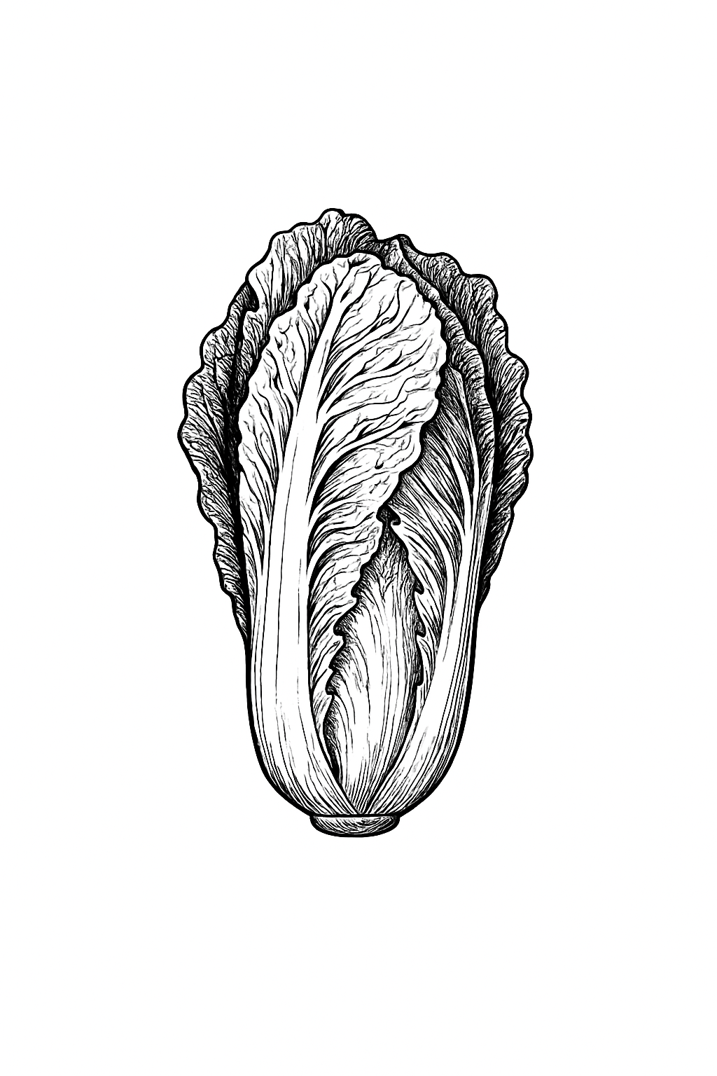 Digitising of Cabbage Logo