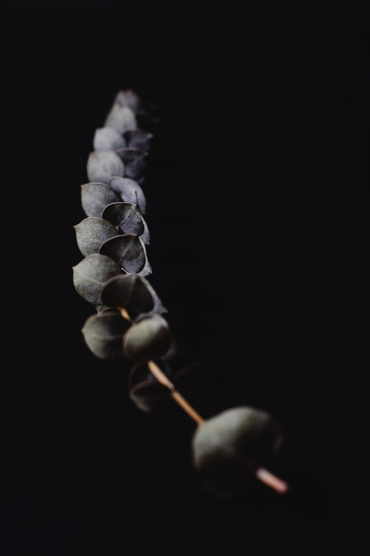 Try a 'Natural" surface spray ...