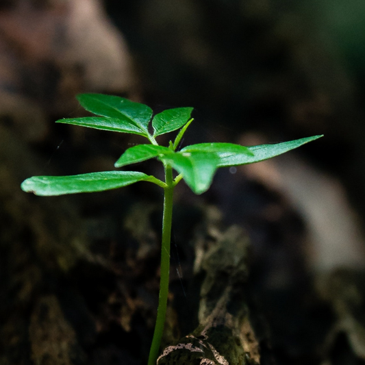 Impress your customers