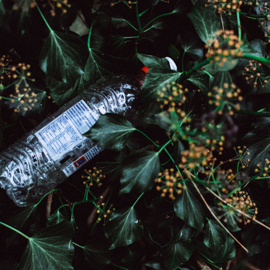 This plastic free July, say no to plastic!