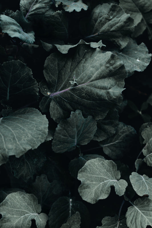 Sweet Winter Vegetables