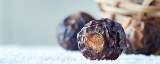 Are you soapberry savvy?